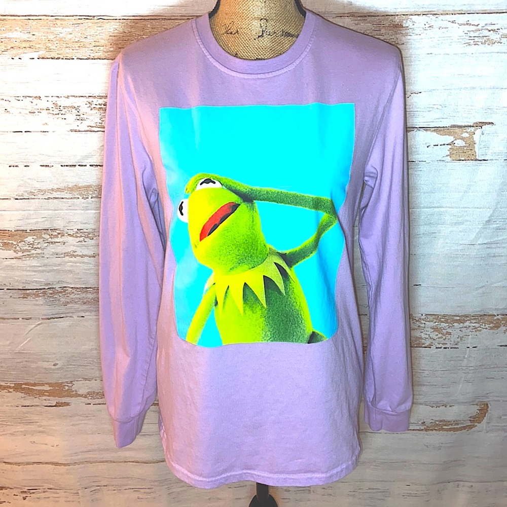 Disney The Muppets Kermit Purple Long Sleeve Graphic Sweatshirt Small
